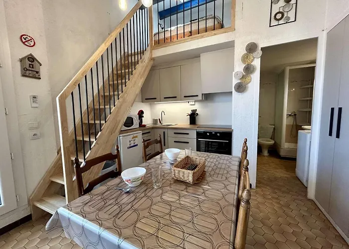 Apartman 2 Pieces Mezzanine 6 Couchages St Cyprien Sc310-c2e5 *